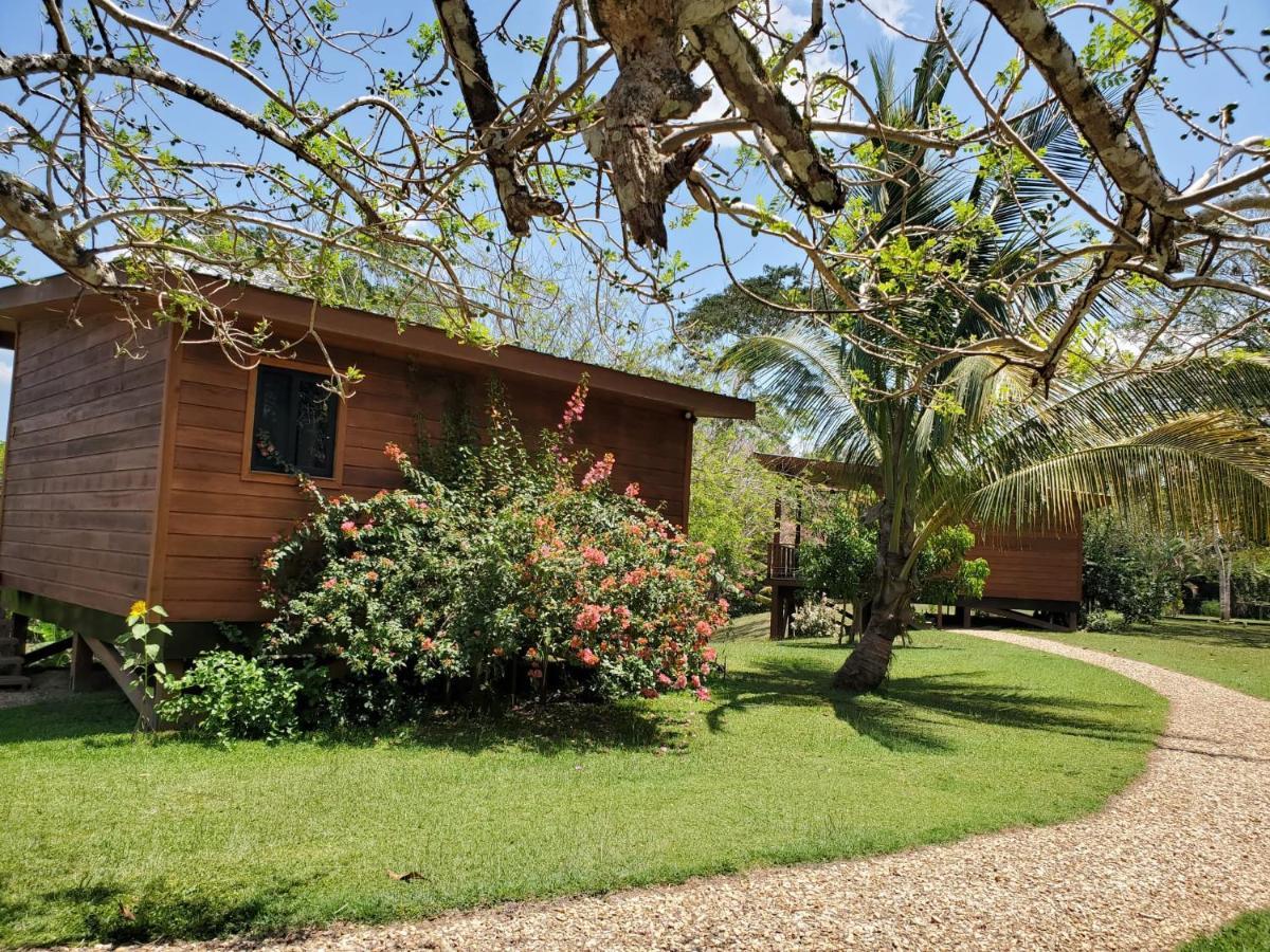 Yumas Riverfront Lodge San Ignacio Zewnętrze zdjęcie