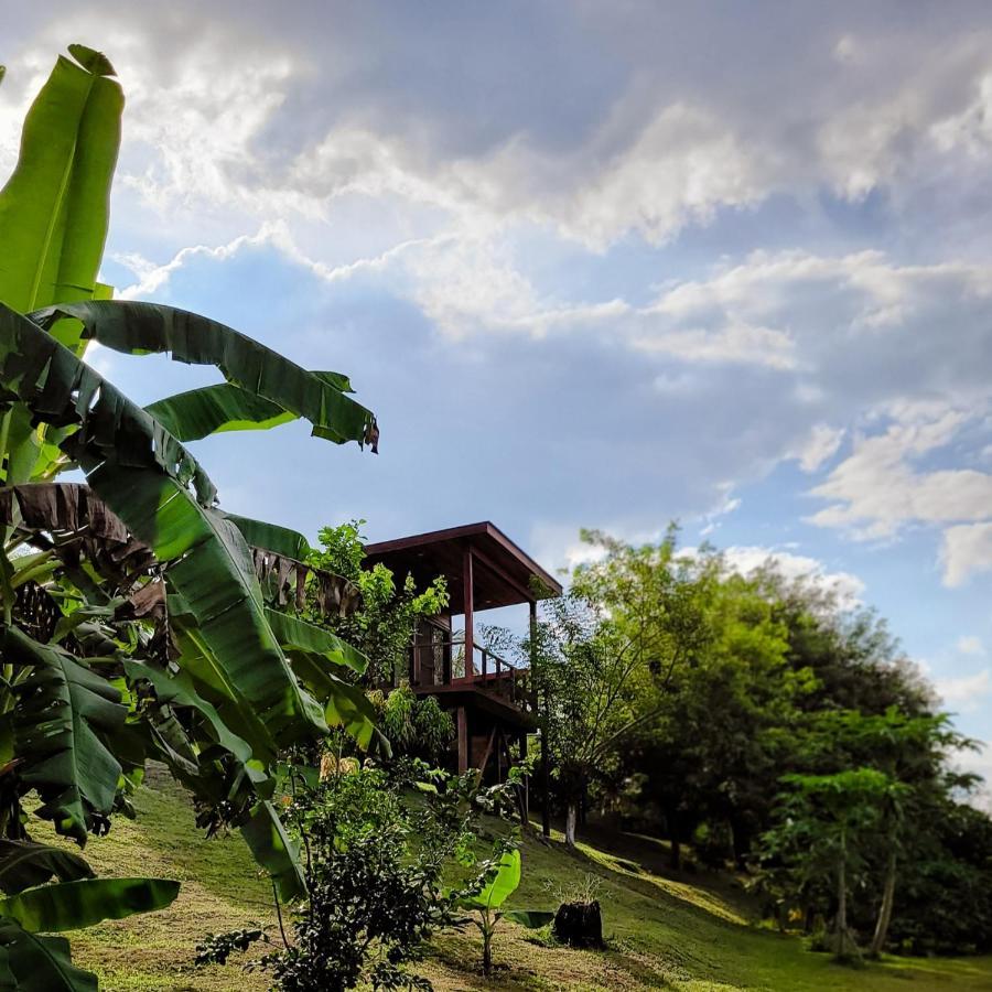 Yumas Riverfront Lodge San Ignacio Zewnętrze zdjęcie